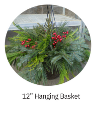 12" Hanging Basket 