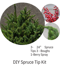 DIY Spruce tip Kit